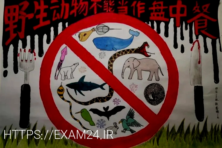 What do animals eat
